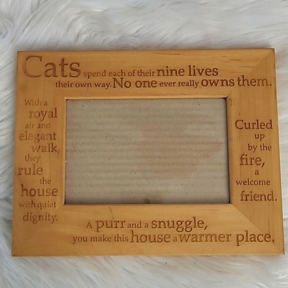 Cat Kitty Kitten Pet Wooden Engraved 4"x6" Photo Picture Frame Unbranded - Picture 13 of 13